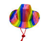 Cowboy Hat - Rainbow