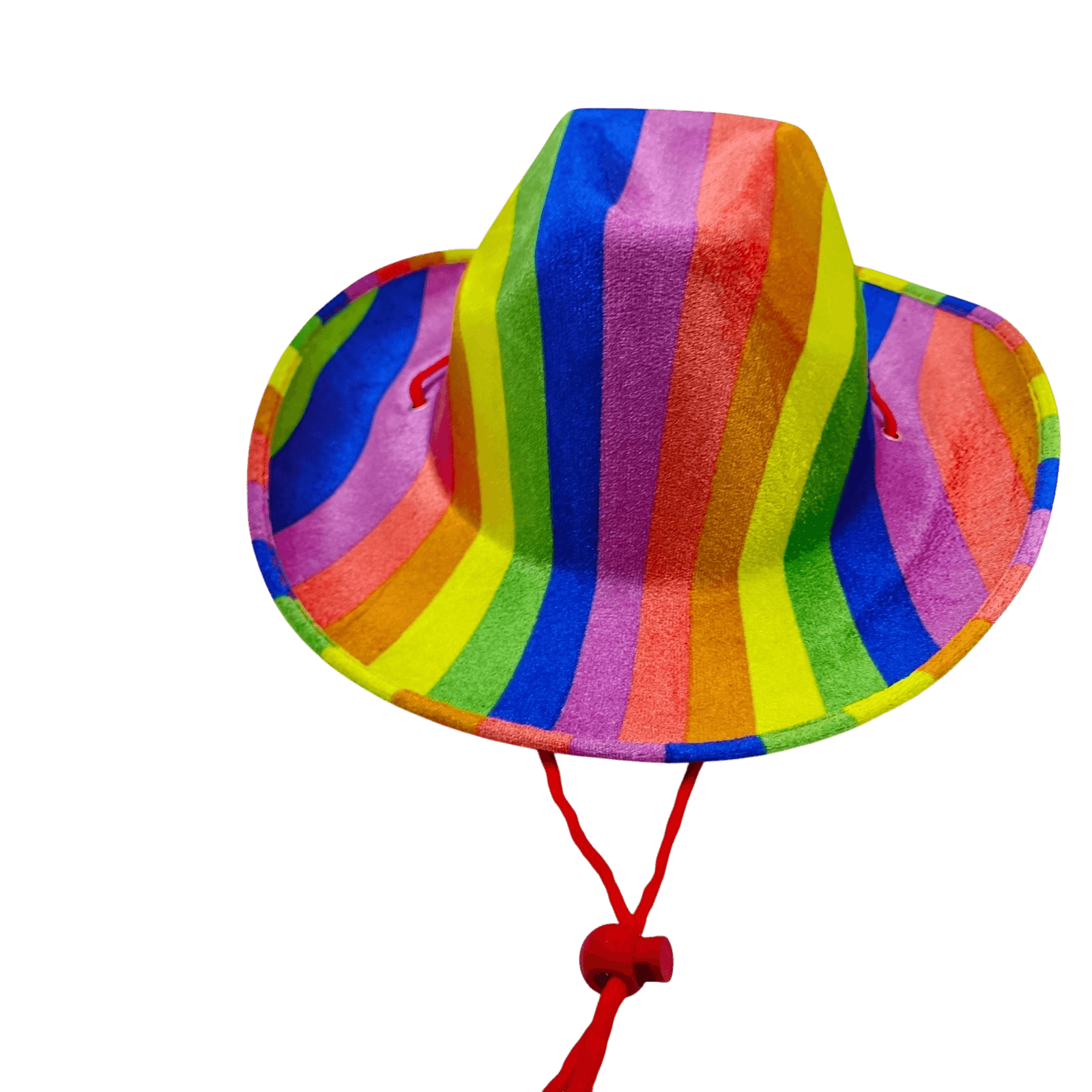 Rainbow Cowboy Hat