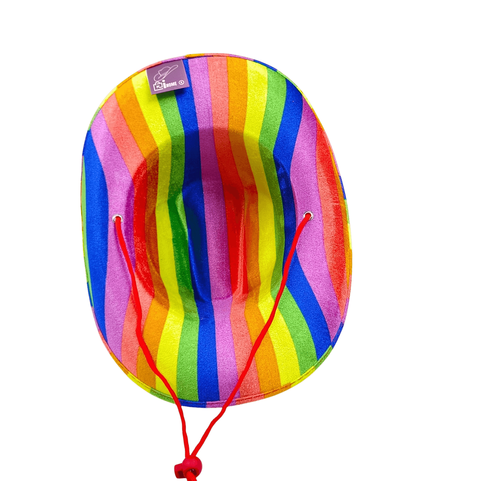 Rainbow Cowboy Hat