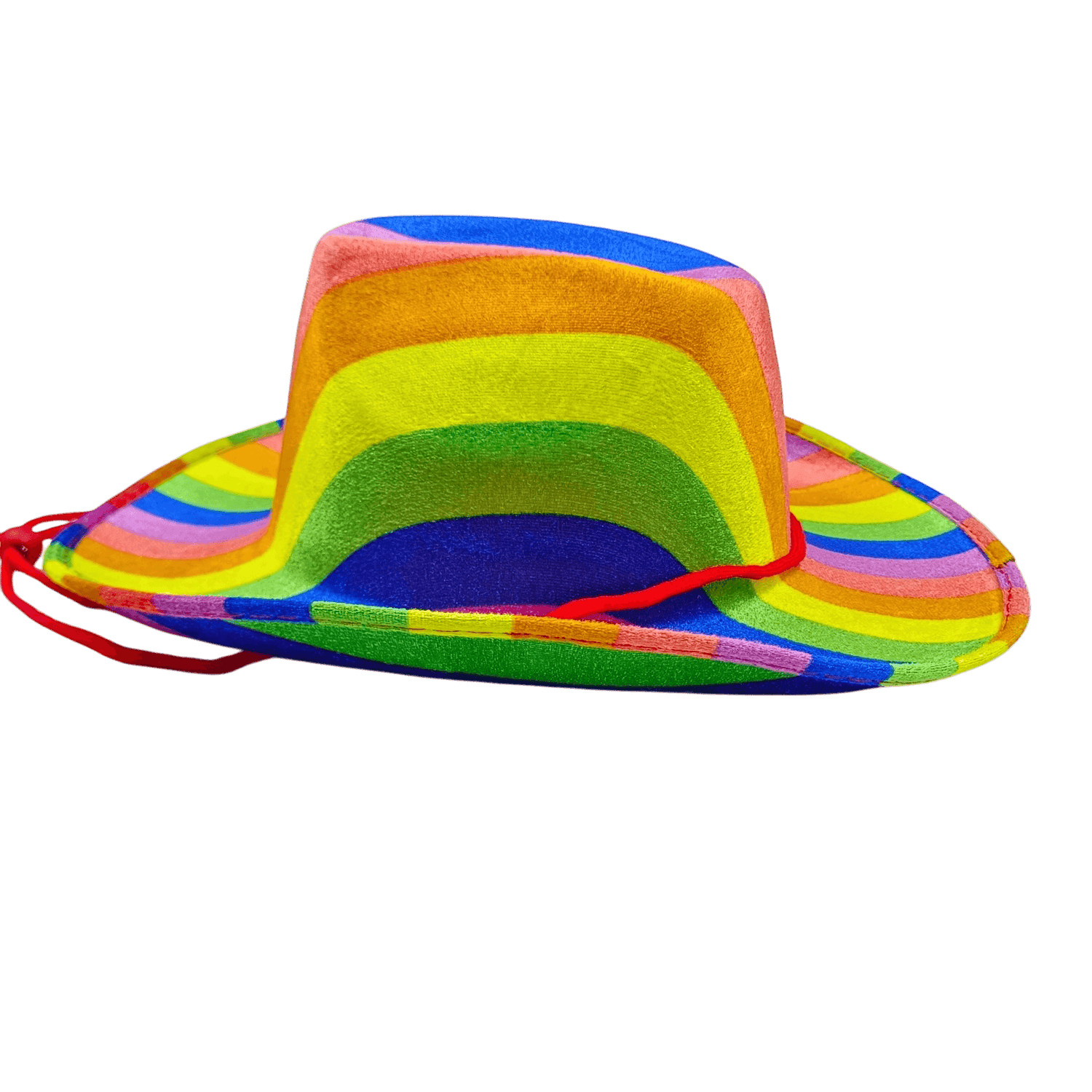 Rainbow Cowboy Hat