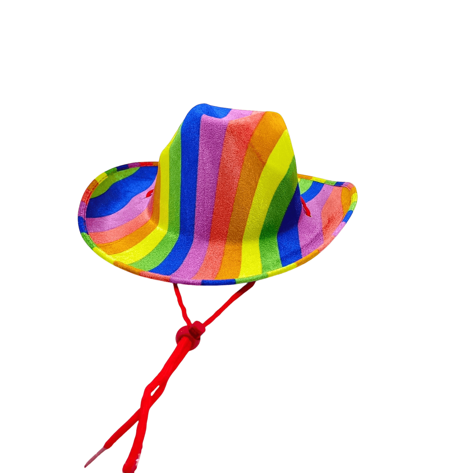 Rainbow Cowboy Hat