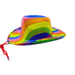 Cowboy Hat - Rainbow