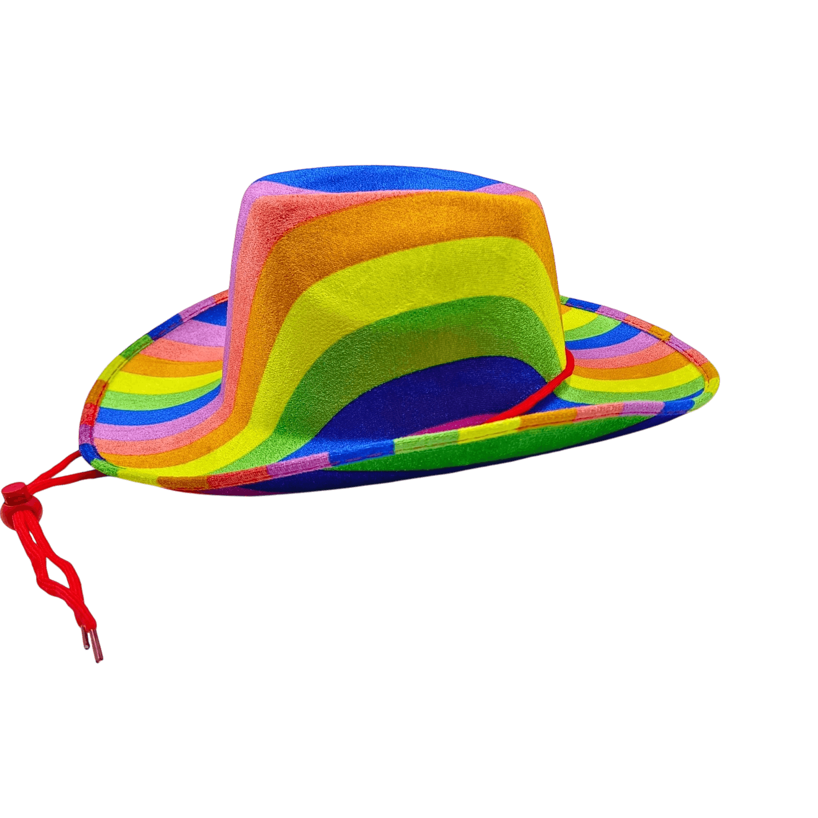 Rainbow Cowboy Hat